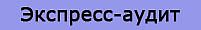 express-audit
